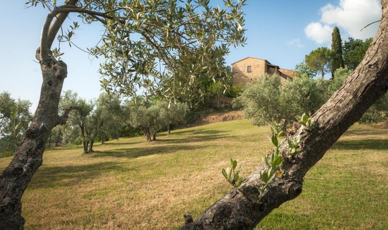 Holiday Home Arpicella Pienza Ngoại thất bức ảnh